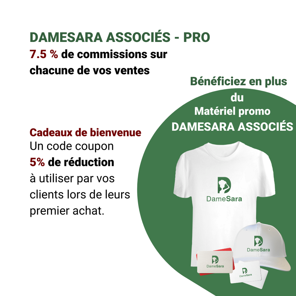 programme-damesara-associes-pro