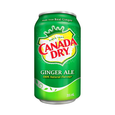 canada-dry-ginger-ale-355-ml-2